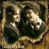 harry love hermione